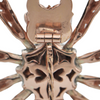 Reproduction Russian Gold Guilloche Enamel Spider Brooch circa 1980-1990 + Montreal Estate Jewelers
