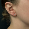 Estate Diamond 14K Gold Stud Screw Back Earrings