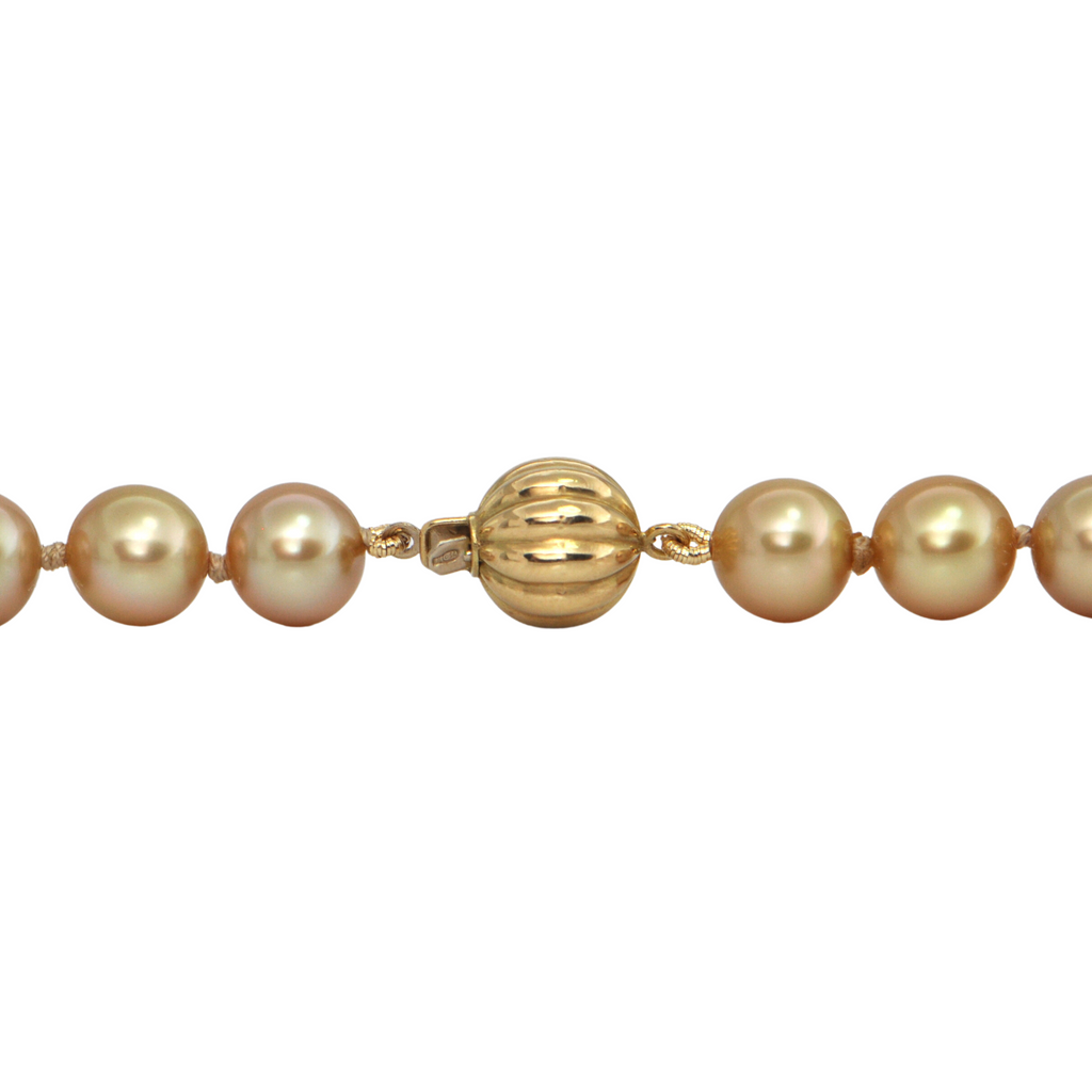 Daisy Exclusive AAA Golden South Sea Cultured Pearl Necklace with 18K Gold Clasp + Montreal Estate Jewelers