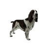 Royal Doulton Springer Spaniel Ch. 'Dry Toast' HN 2515 + Montreal Estate Jewelers